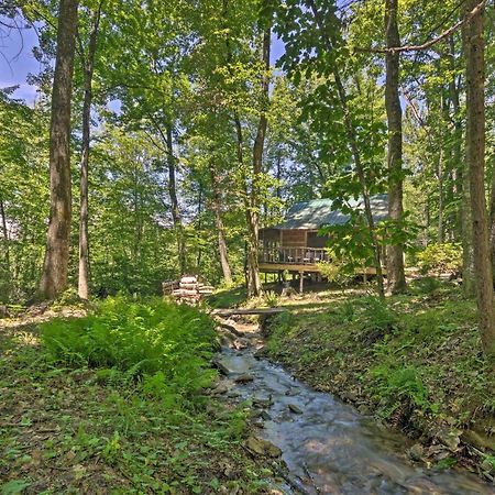 Creekside Cabin With Deck In Pisgah Forest! Barnardsville Екстериор снимка