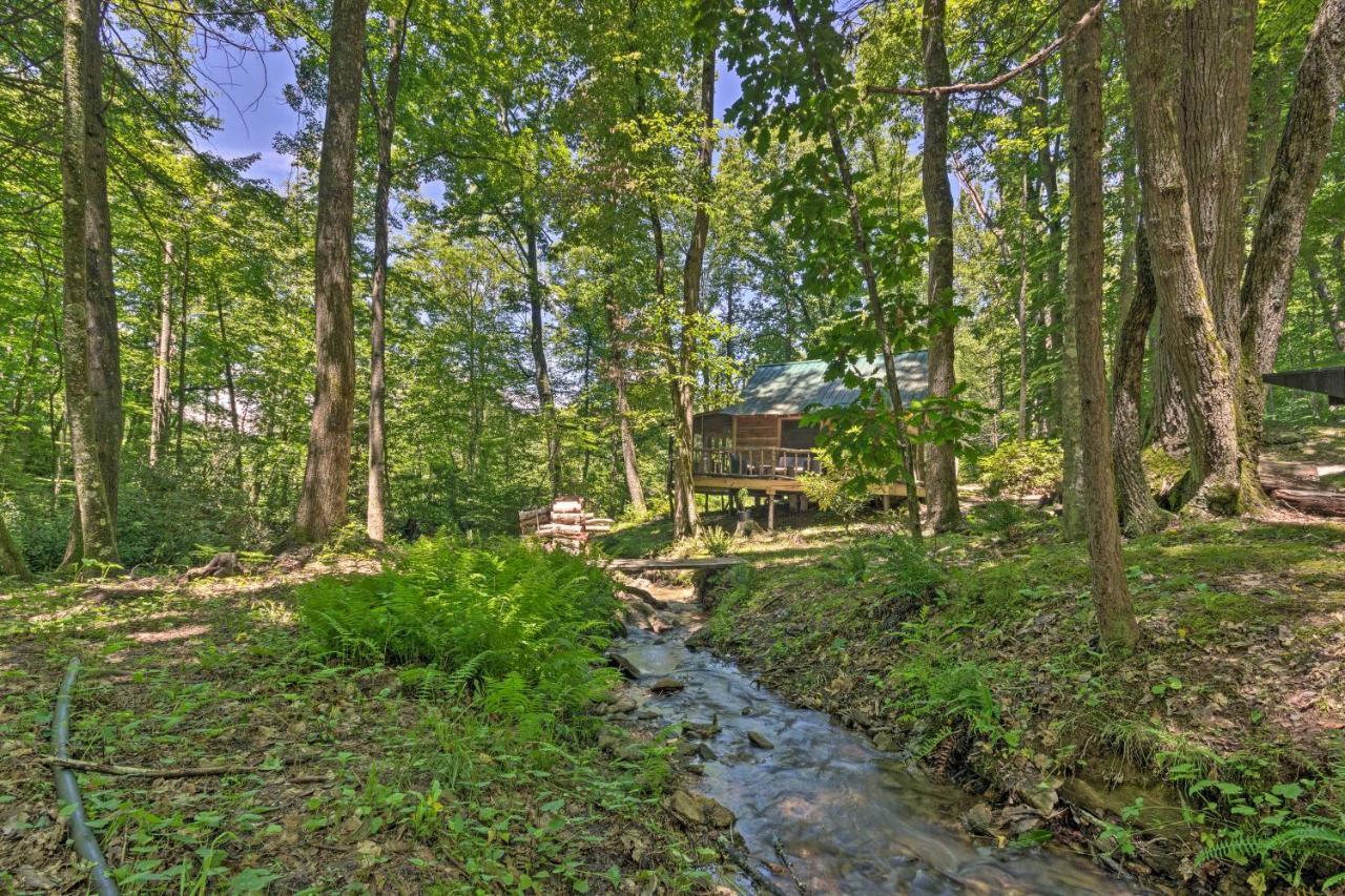 Creekside Cabin With Deck In Pisgah Forest! Barnardsville Екстериор снимка