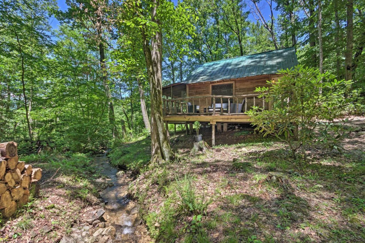 Creekside Cabin With Deck In Pisgah Forest! Barnardsville Екстериор снимка