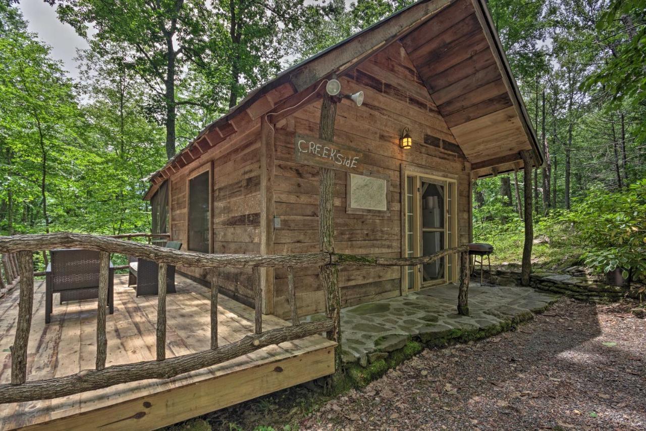 Creekside Cabin With Deck In Pisgah Forest! Barnardsville Екстериор снимка