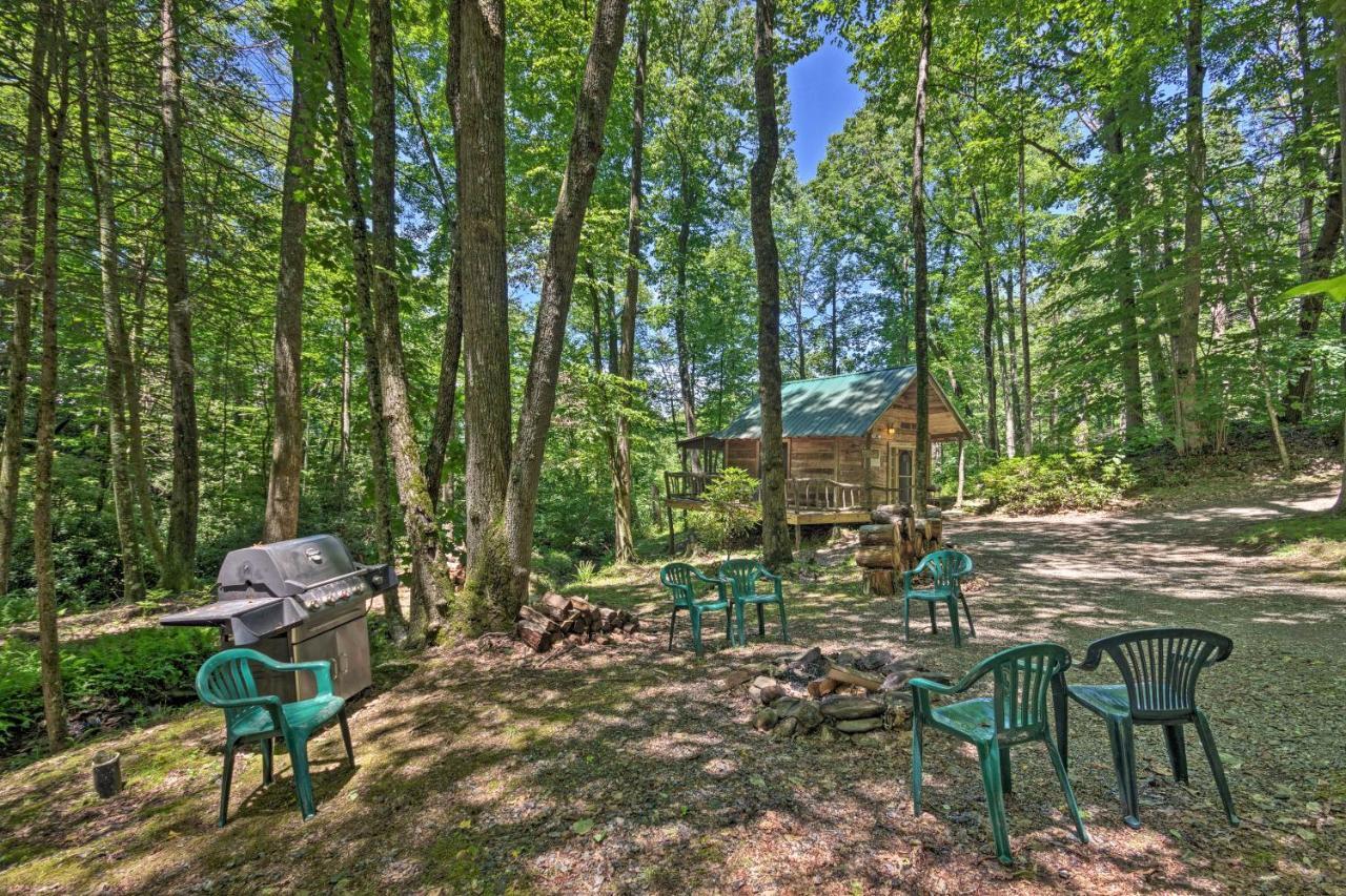Creekside Cabin With Deck In Pisgah Forest! Barnardsville Екстериор снимка
