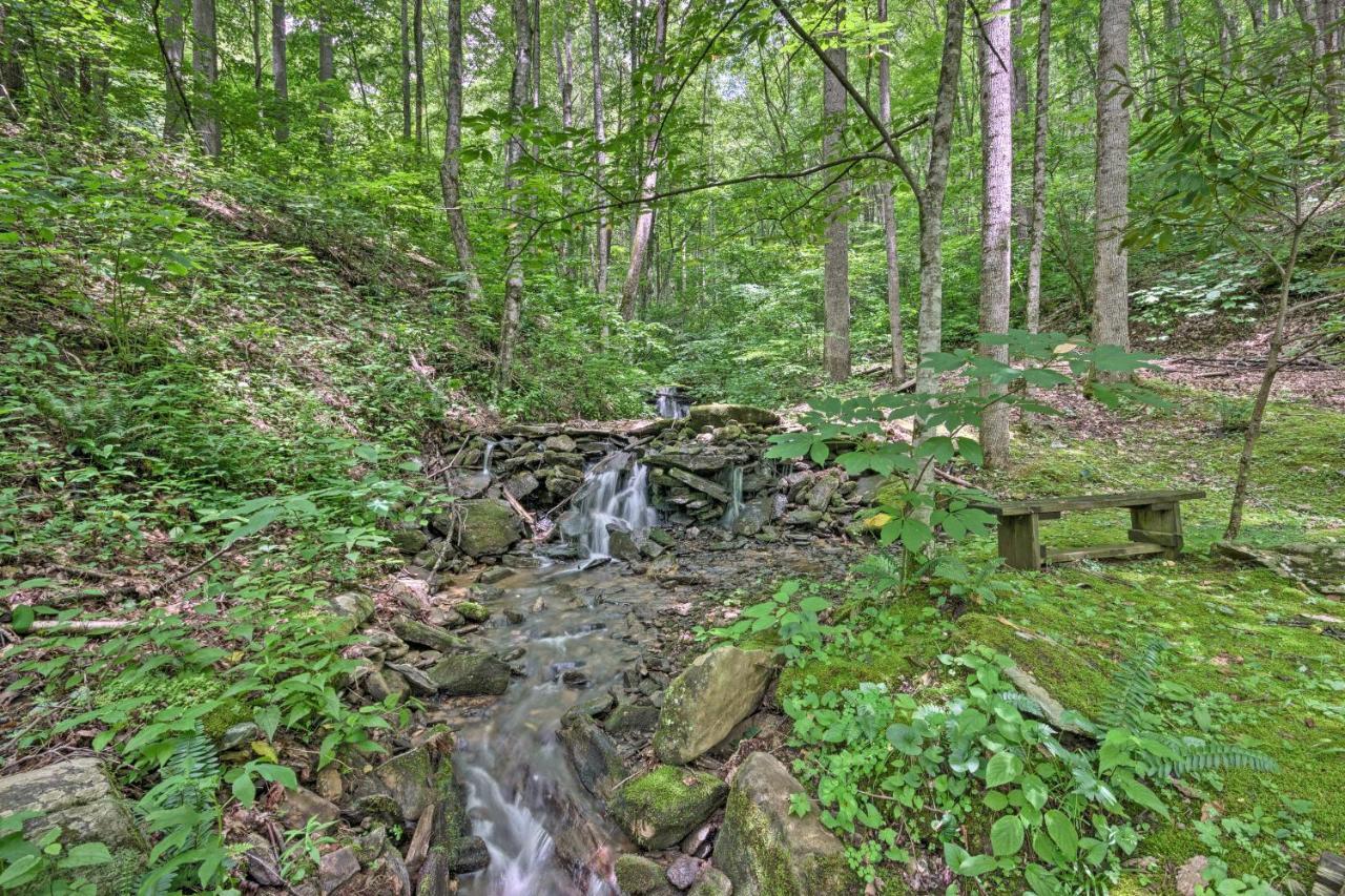 Creekside Cabin With Deck In Pisgah Forest! Barnardsville Екстериор снимка
